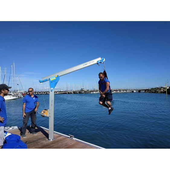 T-Davit Winched | Column 4 | Up to 1100lb Capacity| Reid Lifting US-TD ...